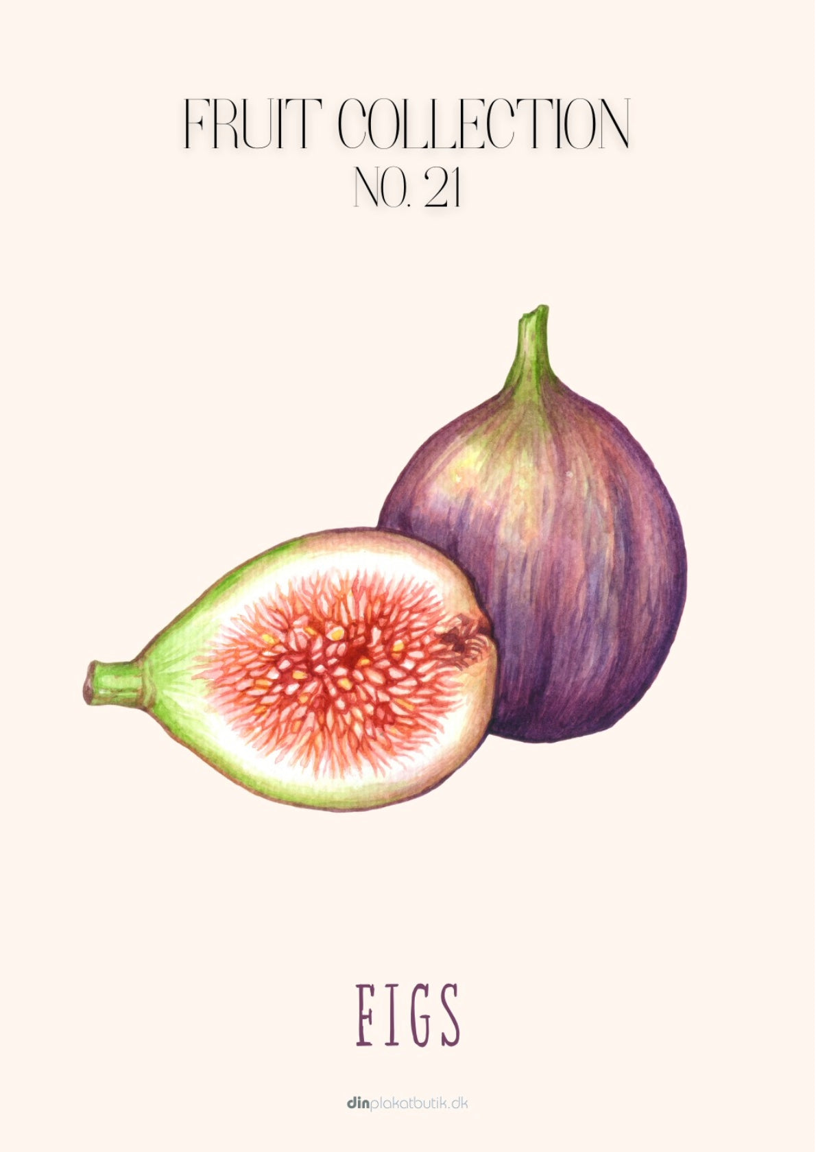 Frugtplakat - Figner