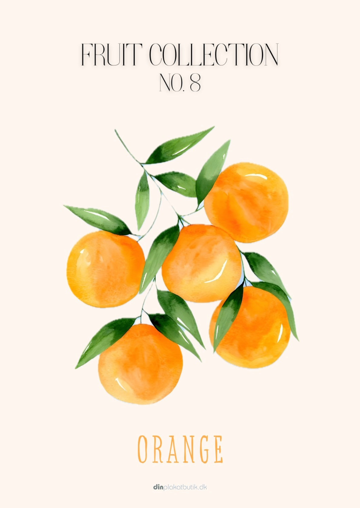 Frugtplakat - Appelsin