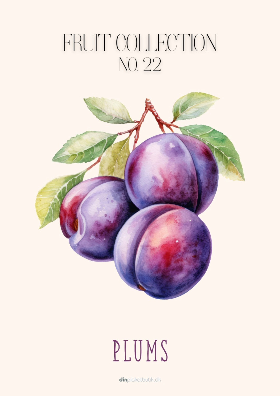 Frugtplakat - Blommer