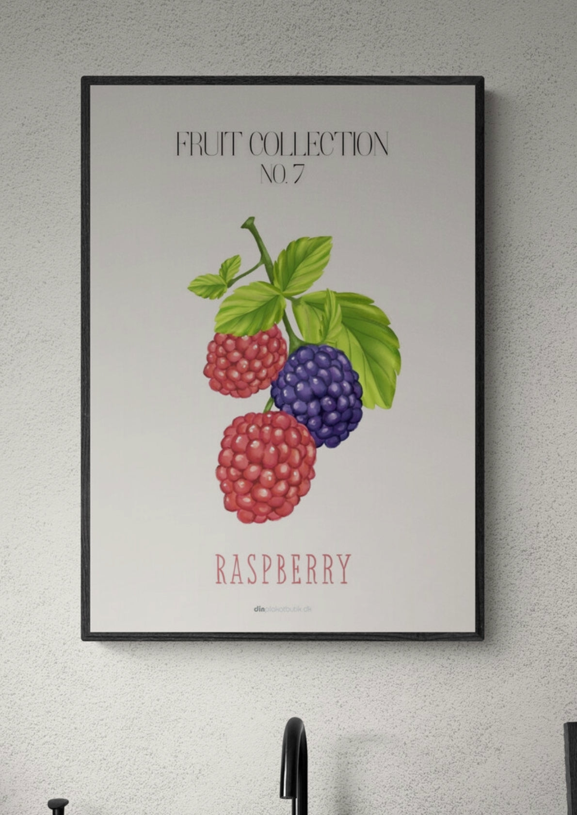 Frugtplakat - Hindbær