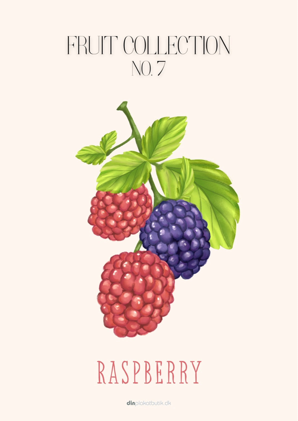 Frugtplakat - Hindbær