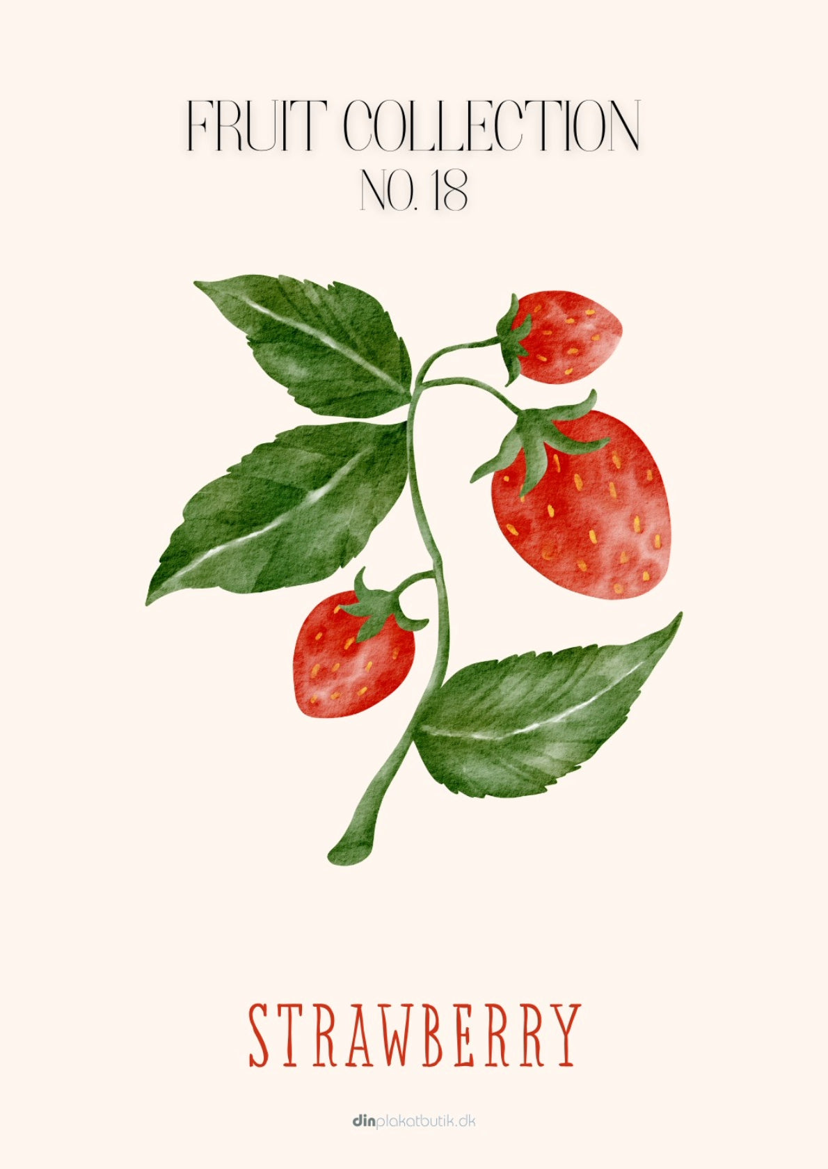 Frugtplakat - Jordbær