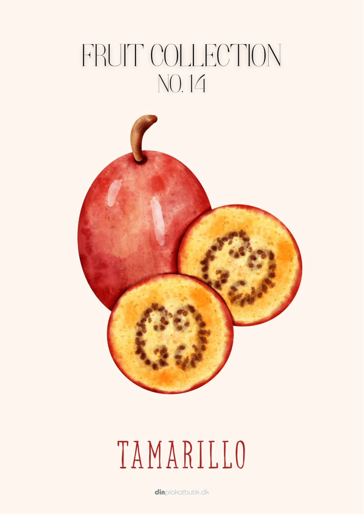 Frugtplakat - Tamarillo