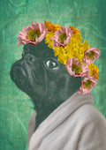 Pug Portrait