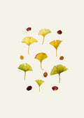 Ginkgo Blade Design