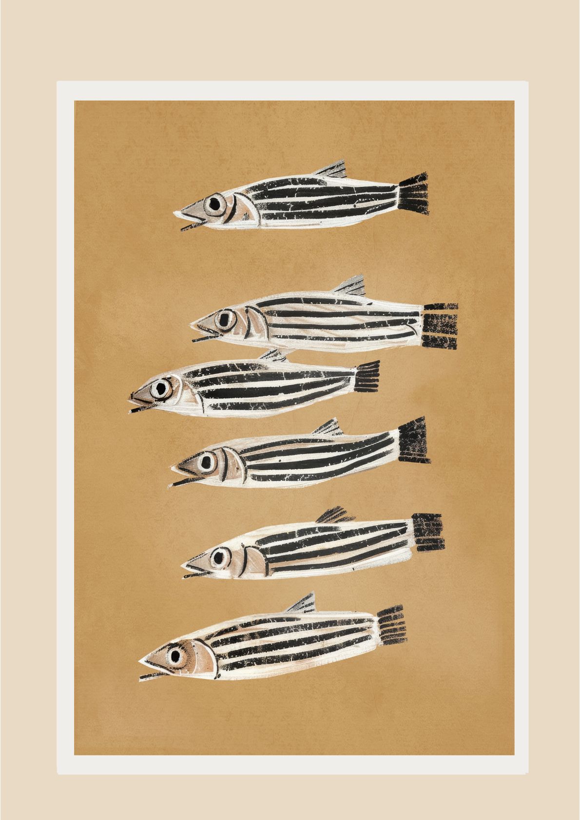 Stribede fisk