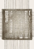 Kantede sanser