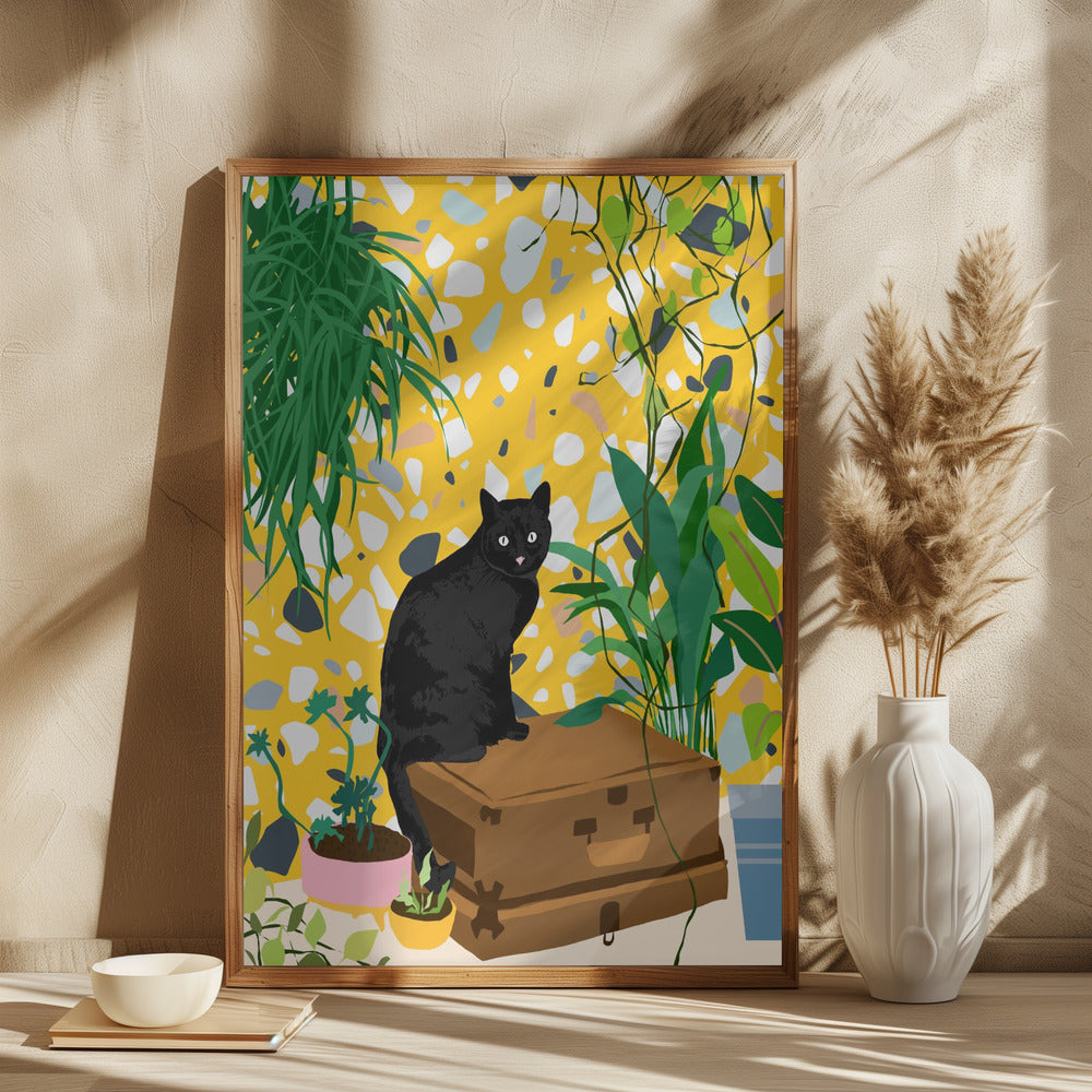 Katten på skatten