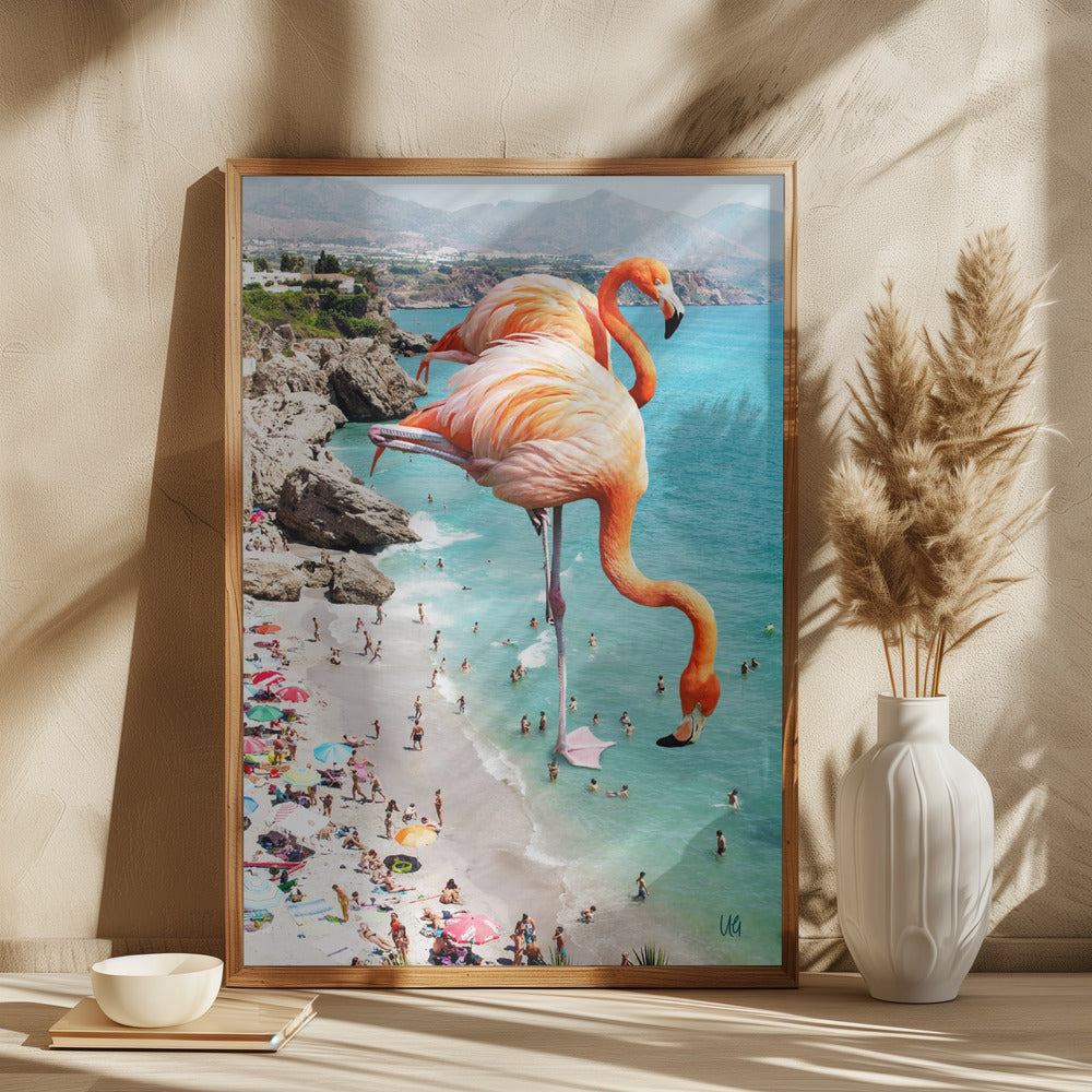 Flamingo Strand