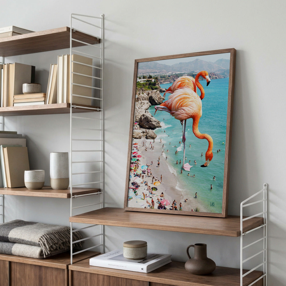 Flamingo Strand