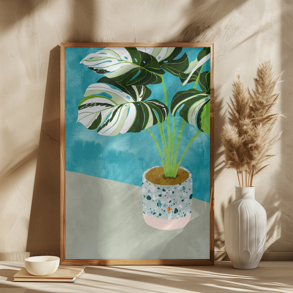 Monstera Plante