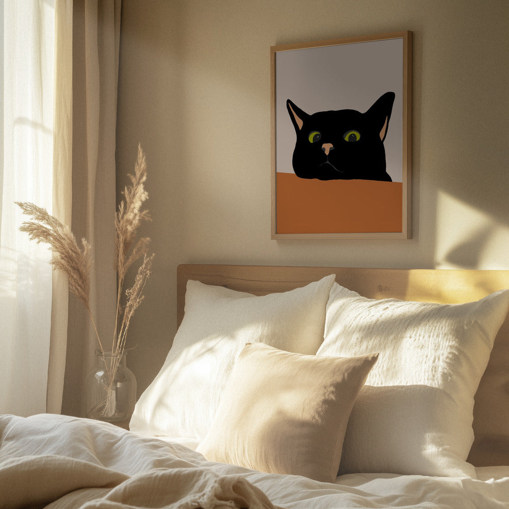 Sort Kat