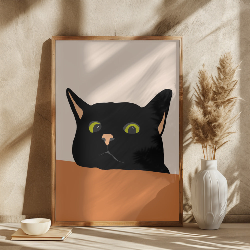 Sort Kat