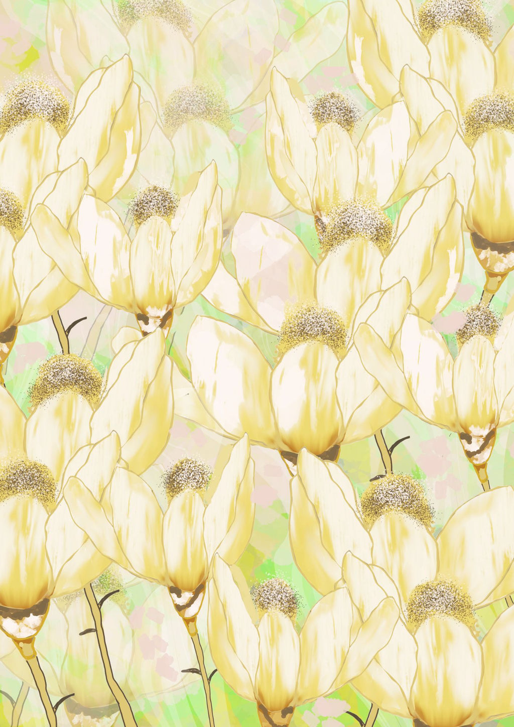 Anemone engen