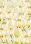 Anemone engen