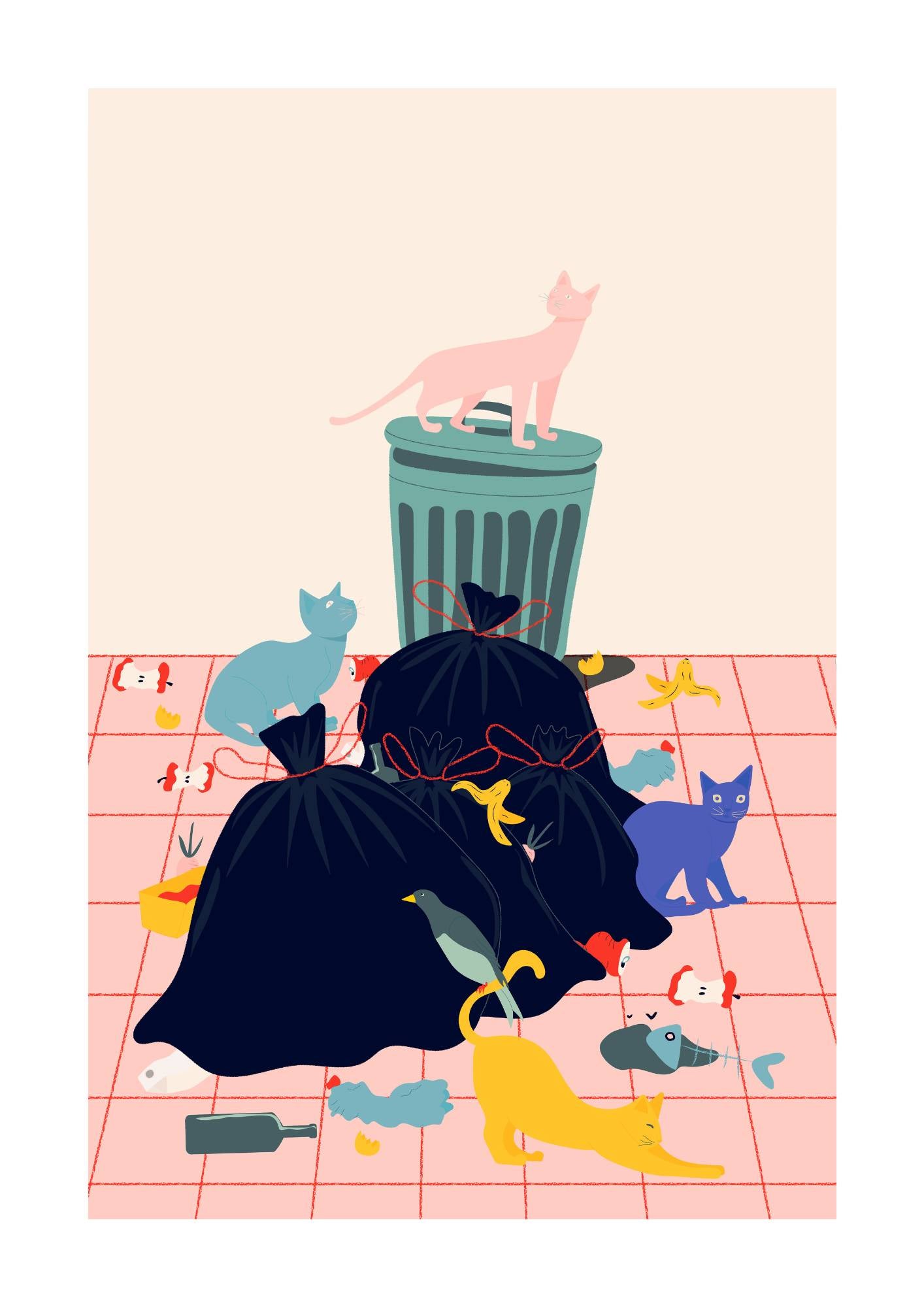 Curious Cat Chaos