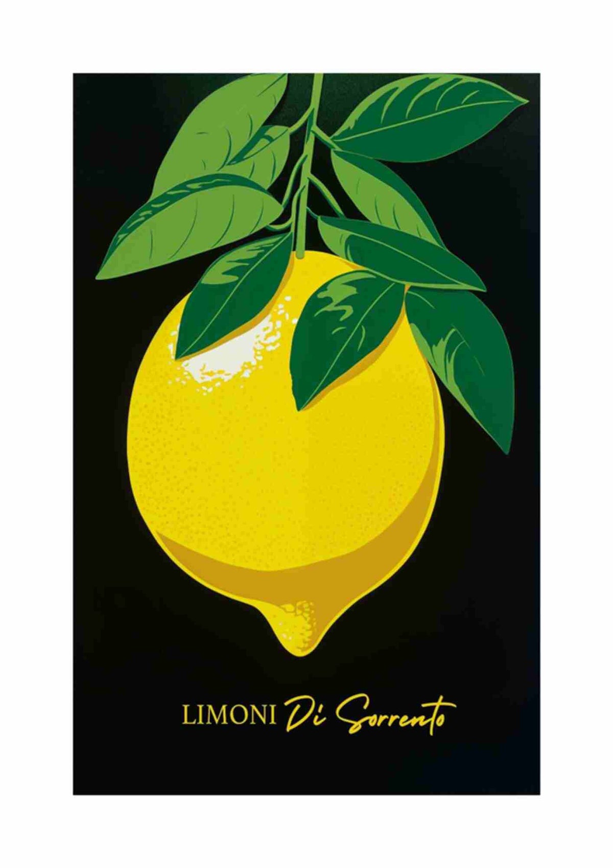 Citrusfrugt med blade
