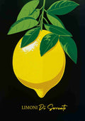 Citrusfrugt med blade