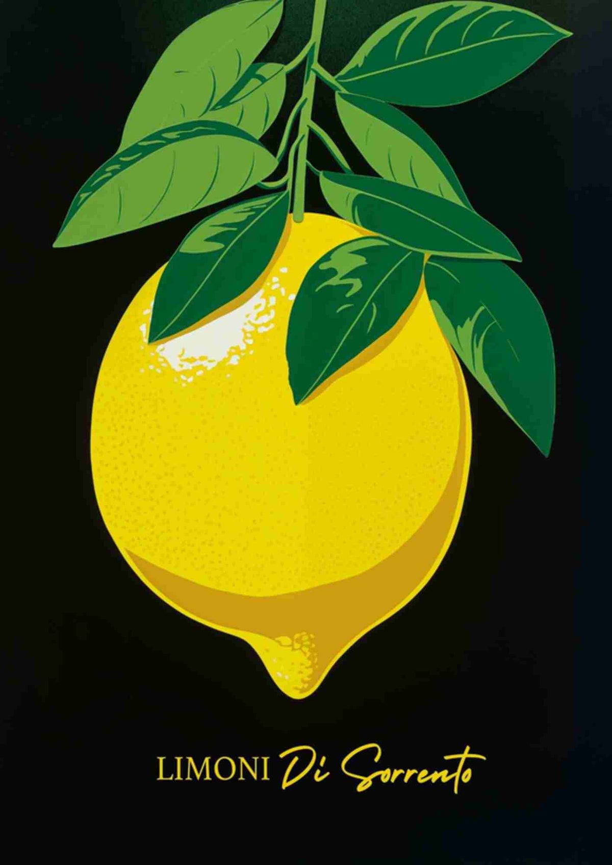 Citrusfrugt med blade