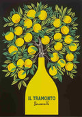 Citrus træ