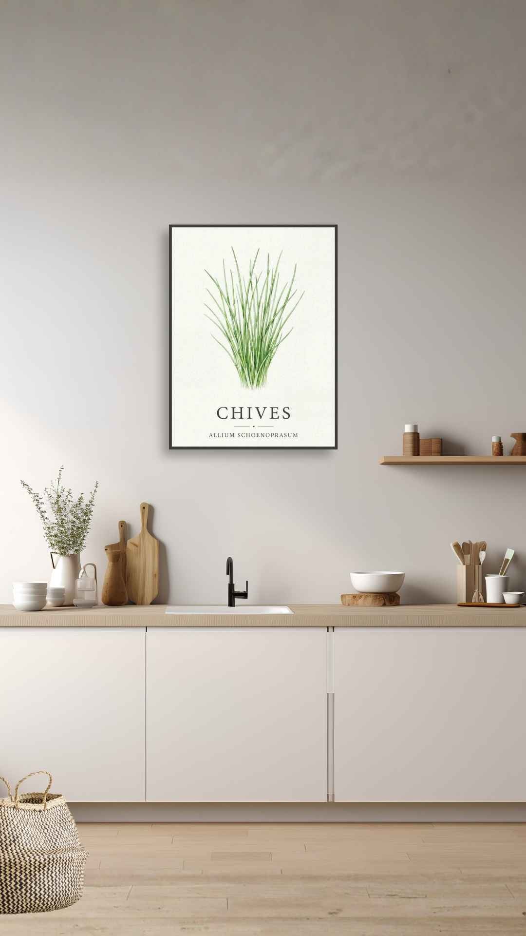 Chives - Purløg
