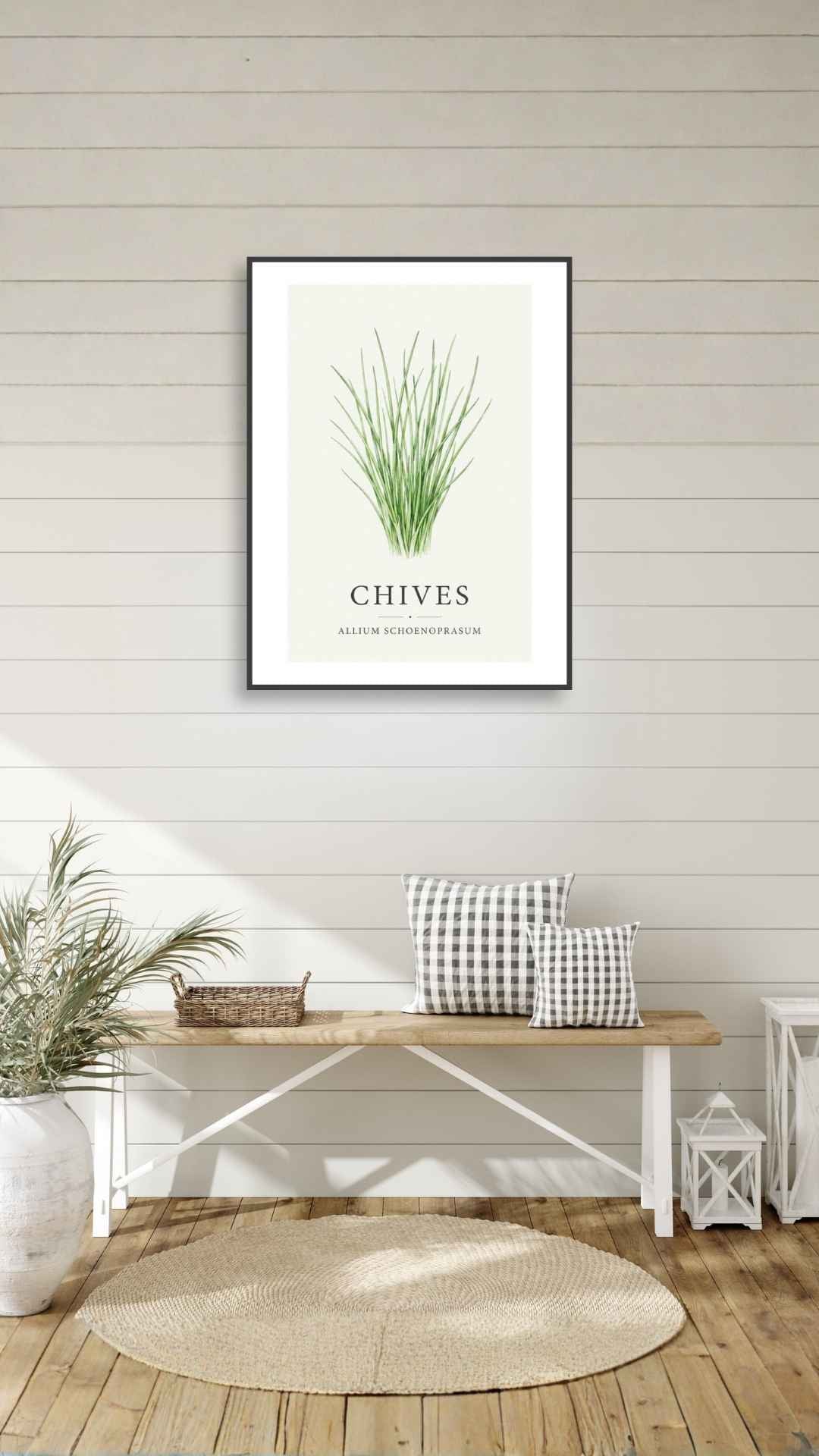Chives - Purløg