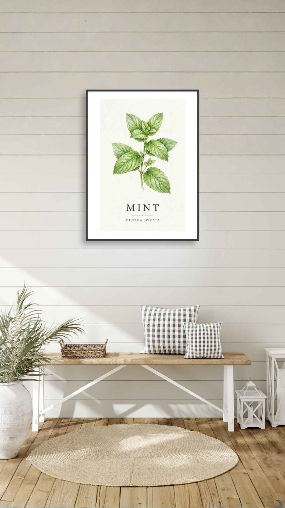 Mint - Mynte