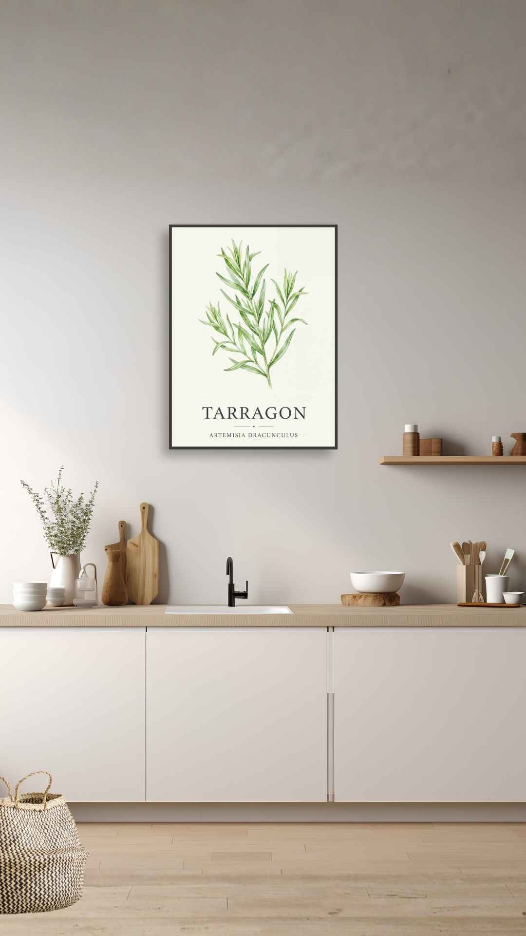 Tarragon - Estragon
