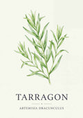 Tarragon - Estragon