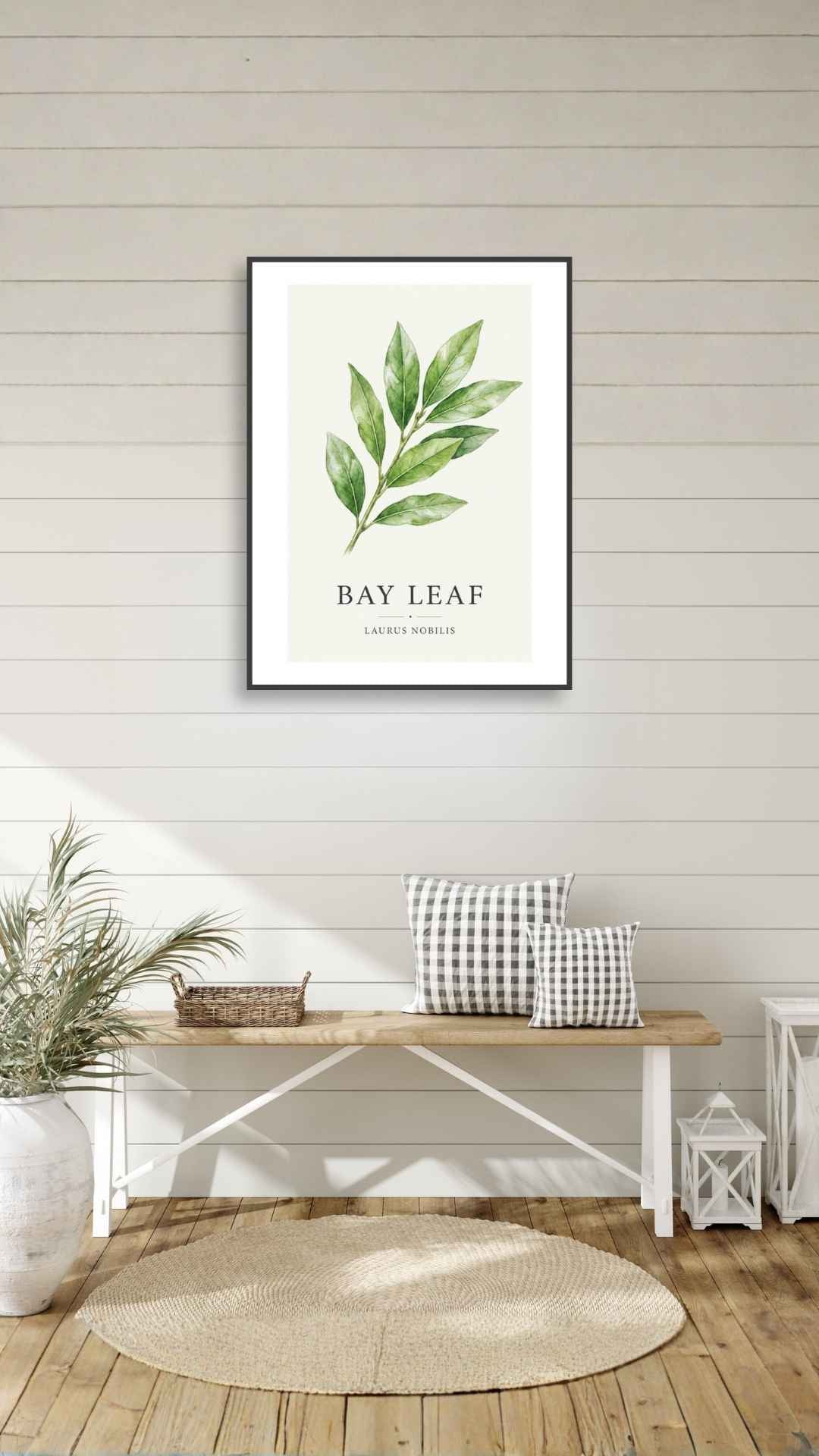 Bay Leaf - Laurbærblad