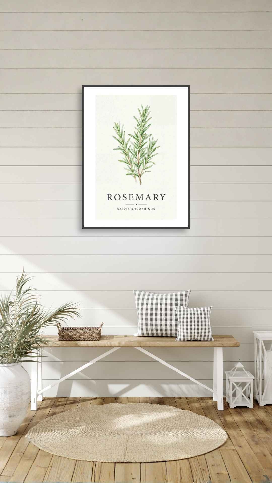 Rosemary - Rosmarin