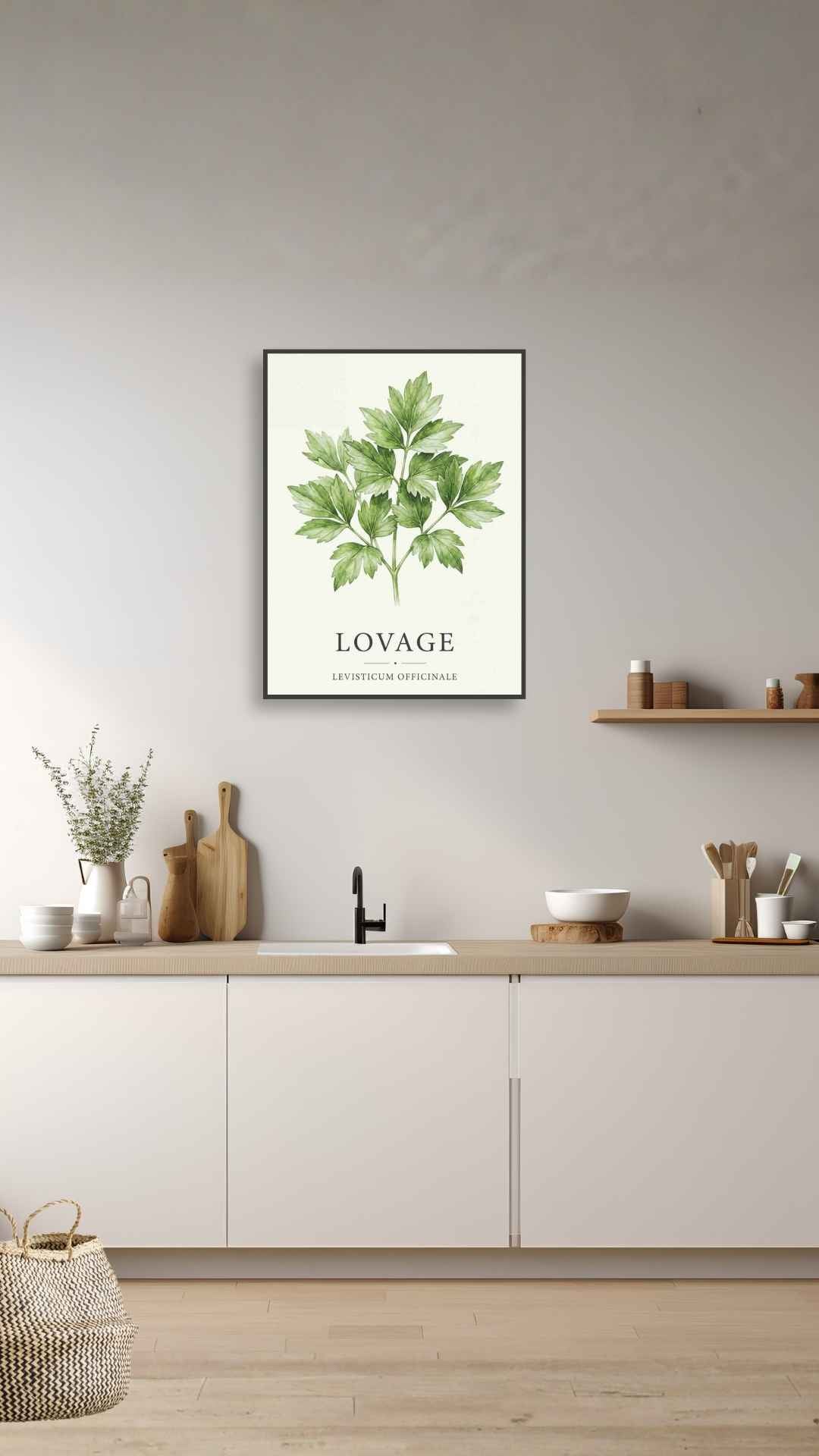 Lovage - Løvstikke