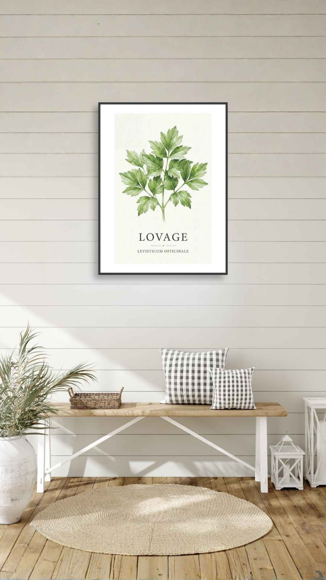 Lovage - Løvstikke