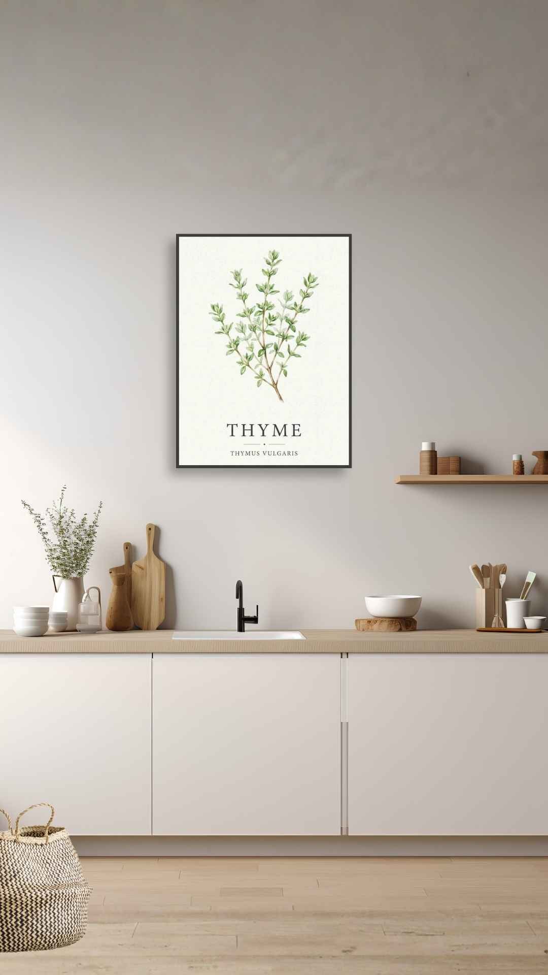 Thyme - Timian
