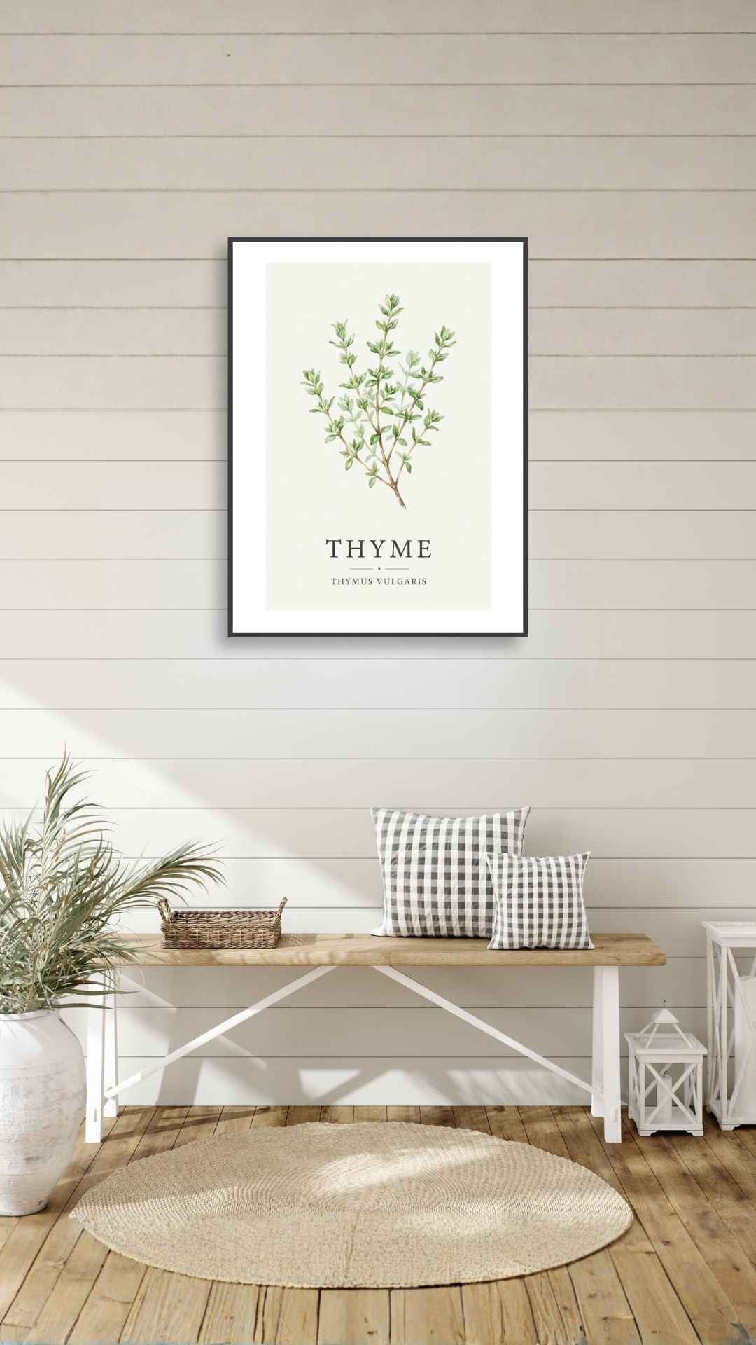Thyme - Timian