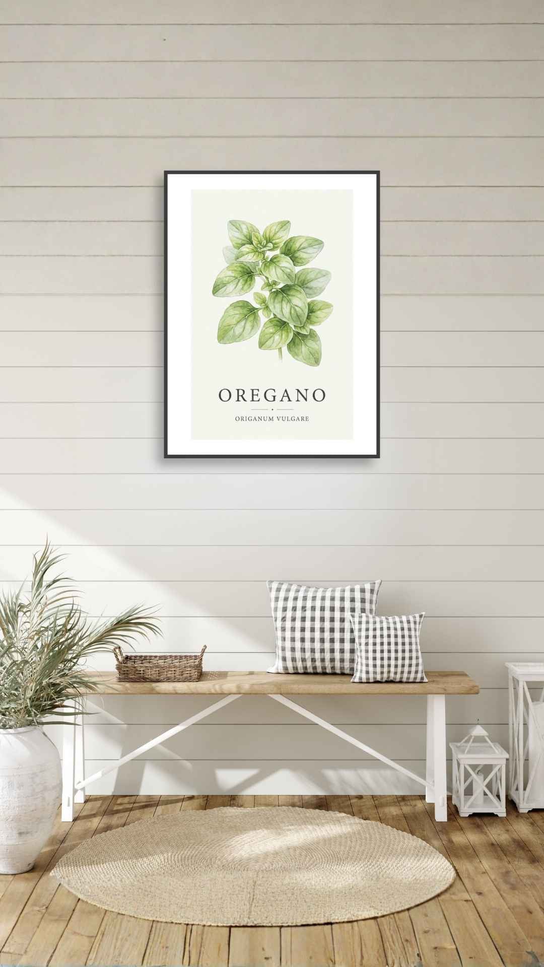 Oregano - Oregano
