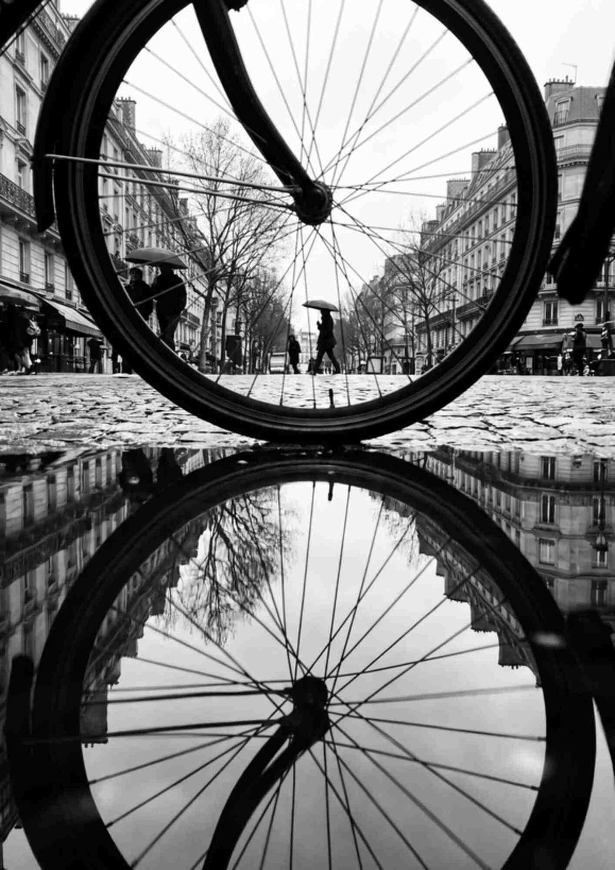 Cykelhjul og refleksion