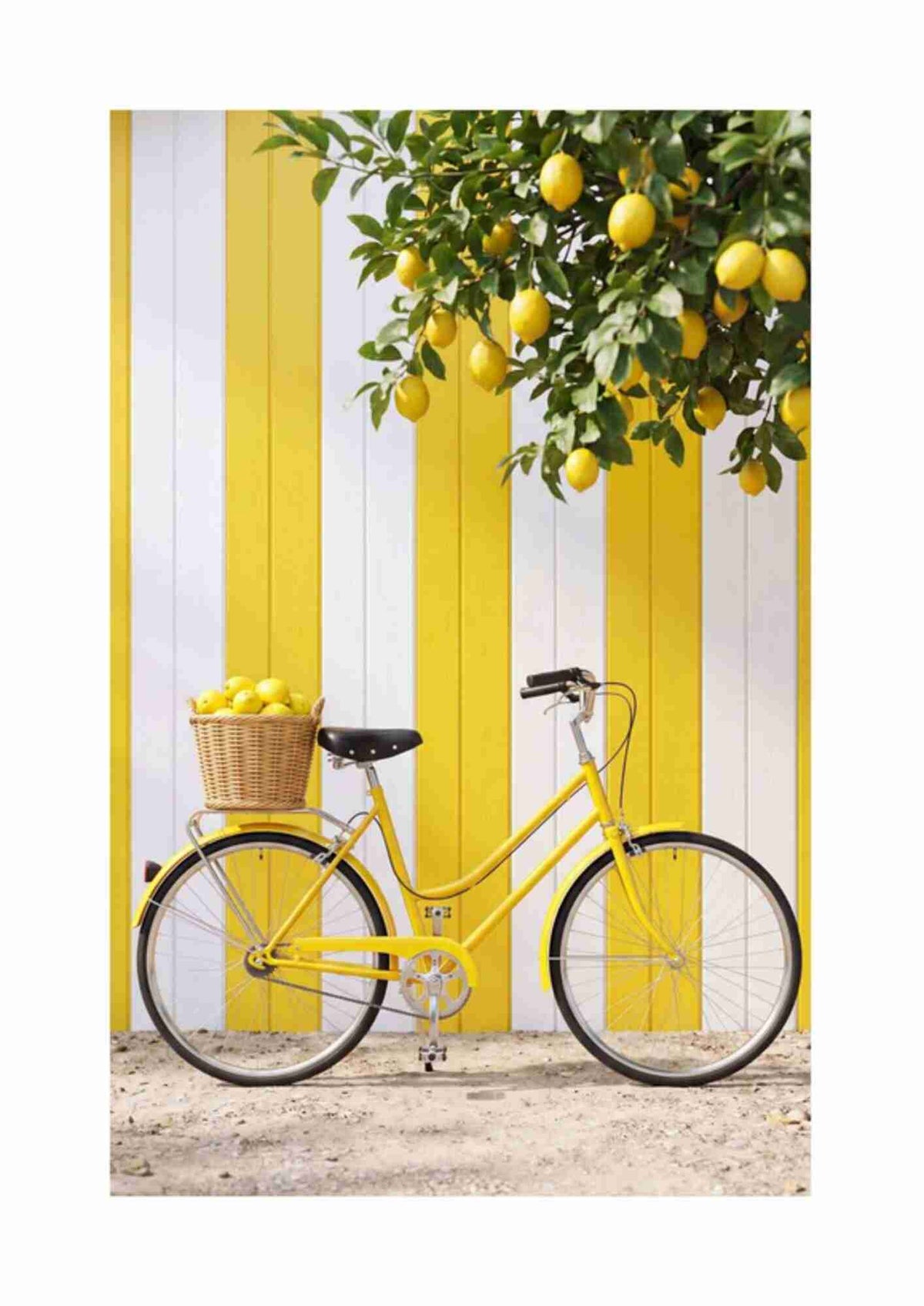 Cykel med citroner