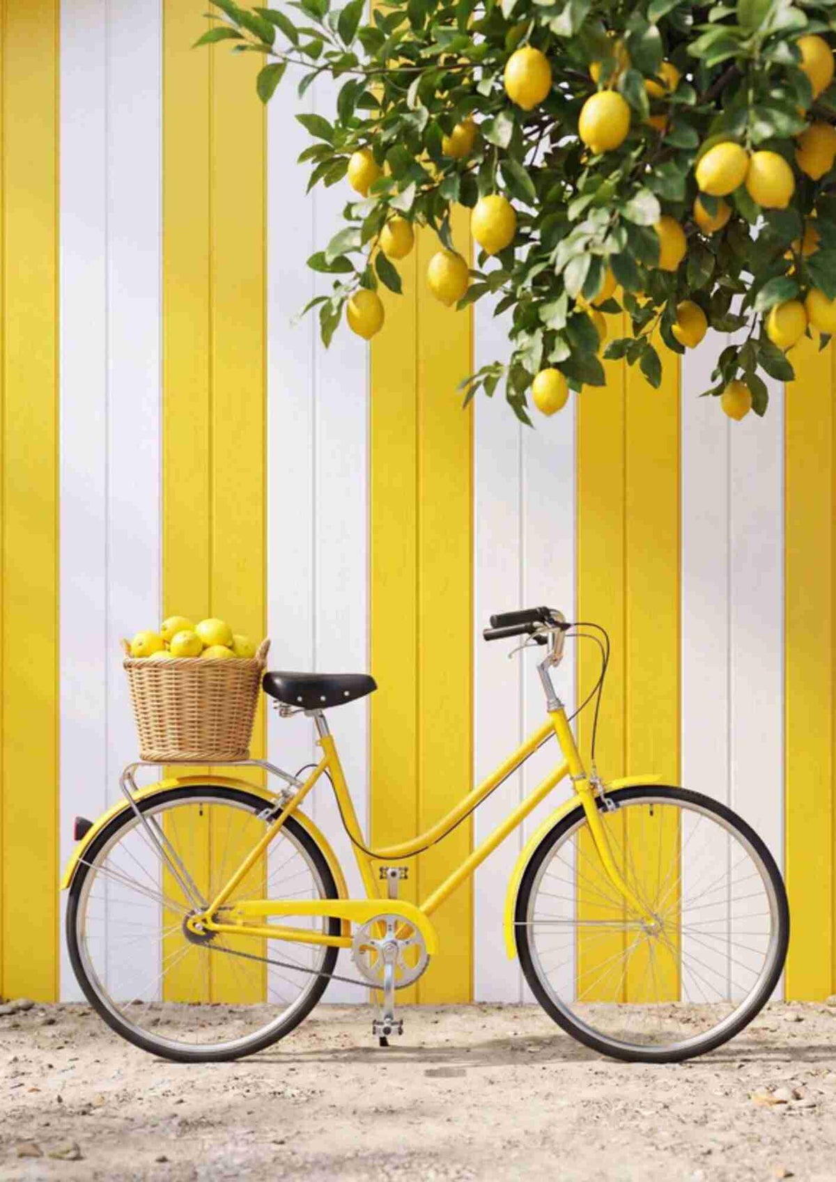 Cykel med citroner