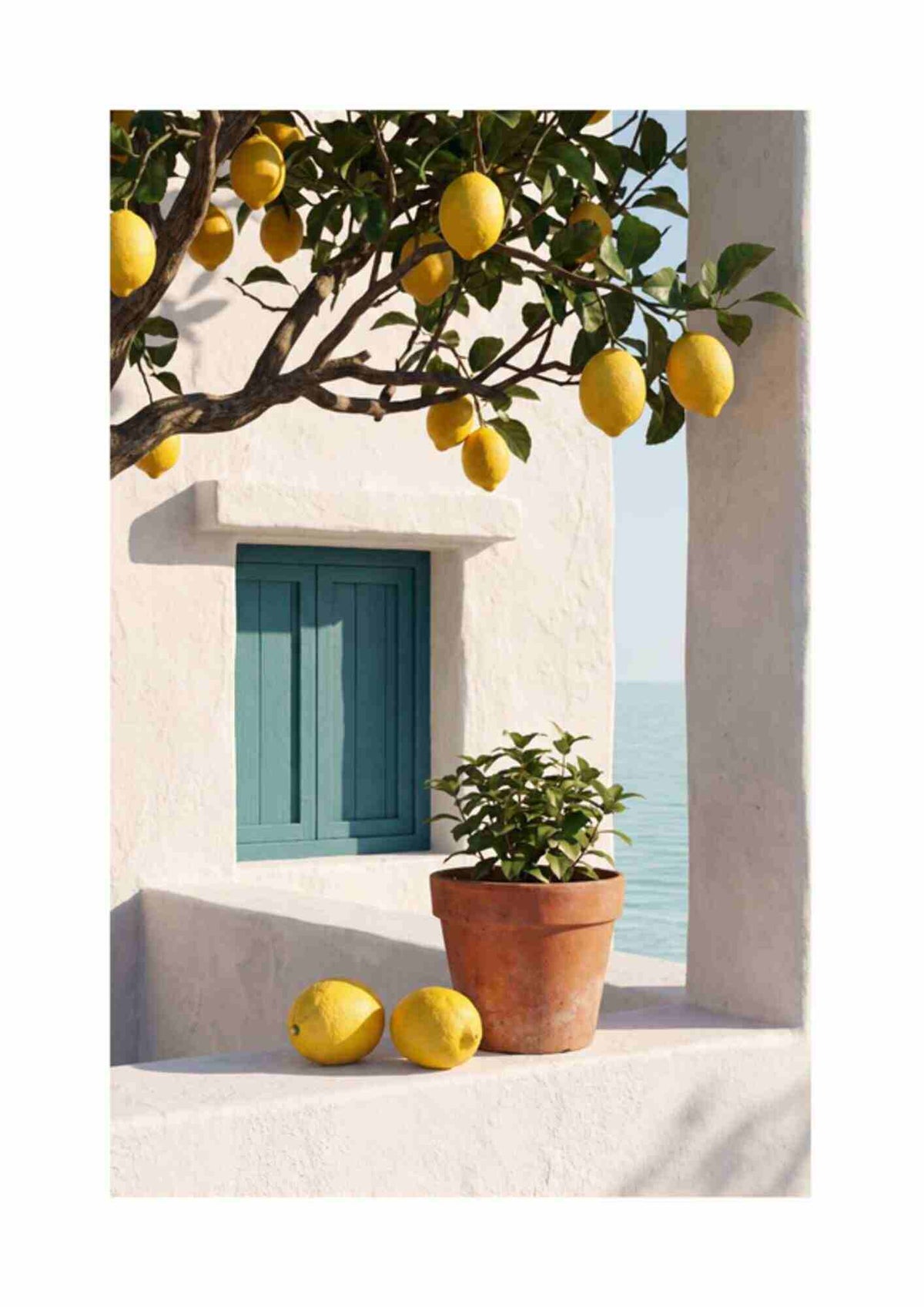 Terrasse med citroner