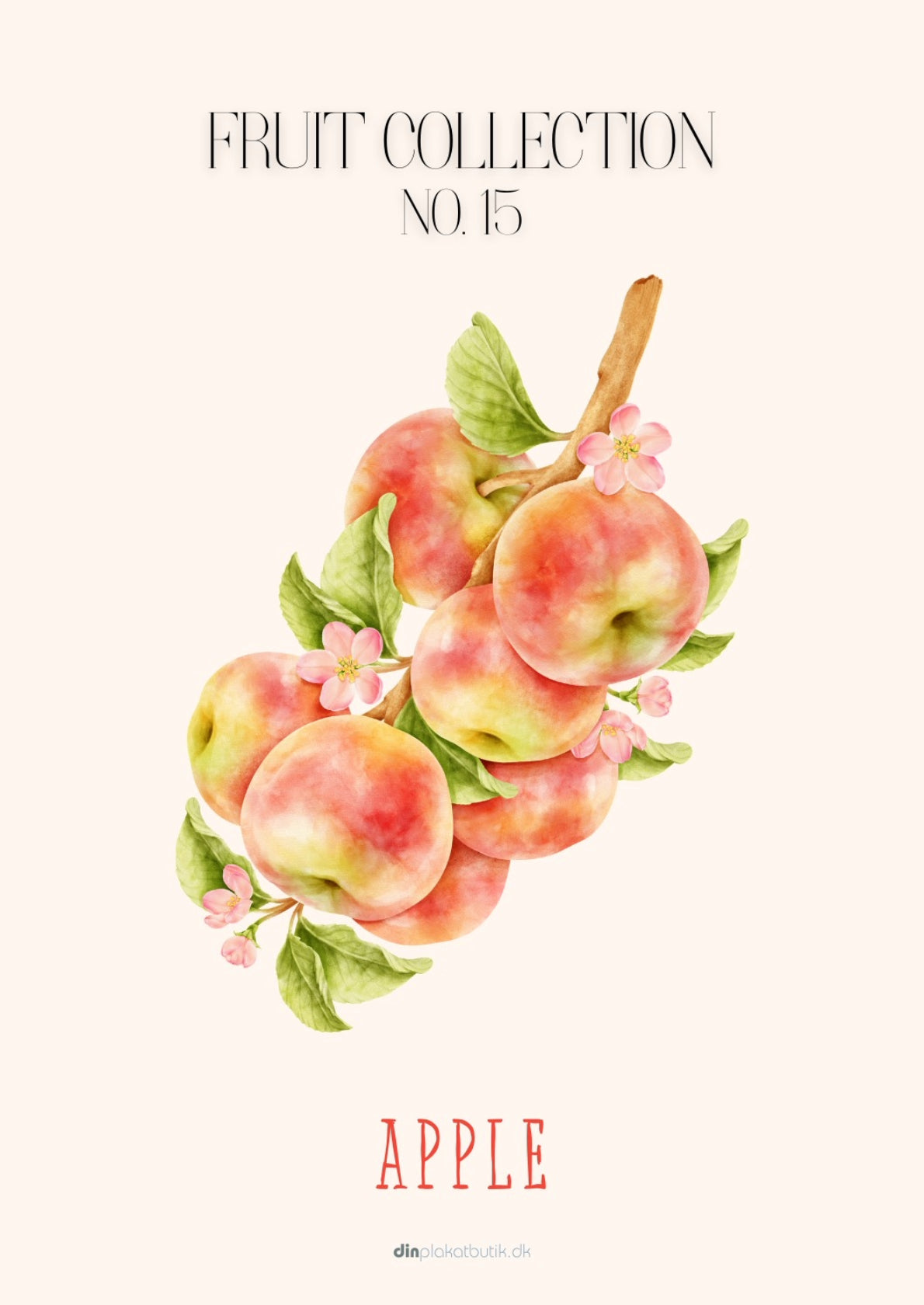Æbler