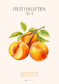 Frugtplakat - Abrikoser