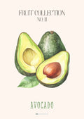 Frugtplakat - Avocado