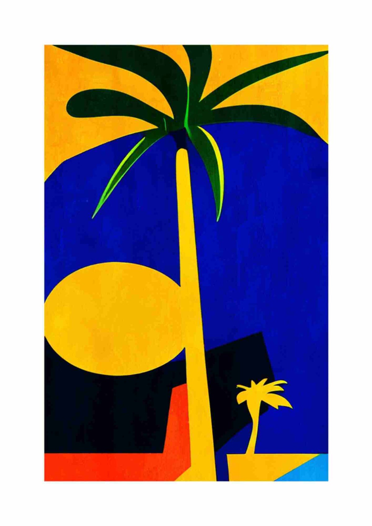Palme og sol