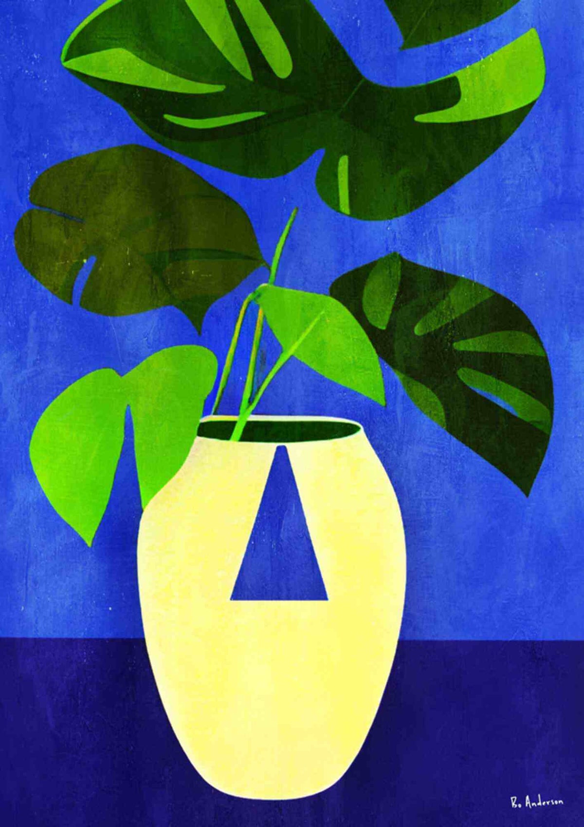 Monstera i vase