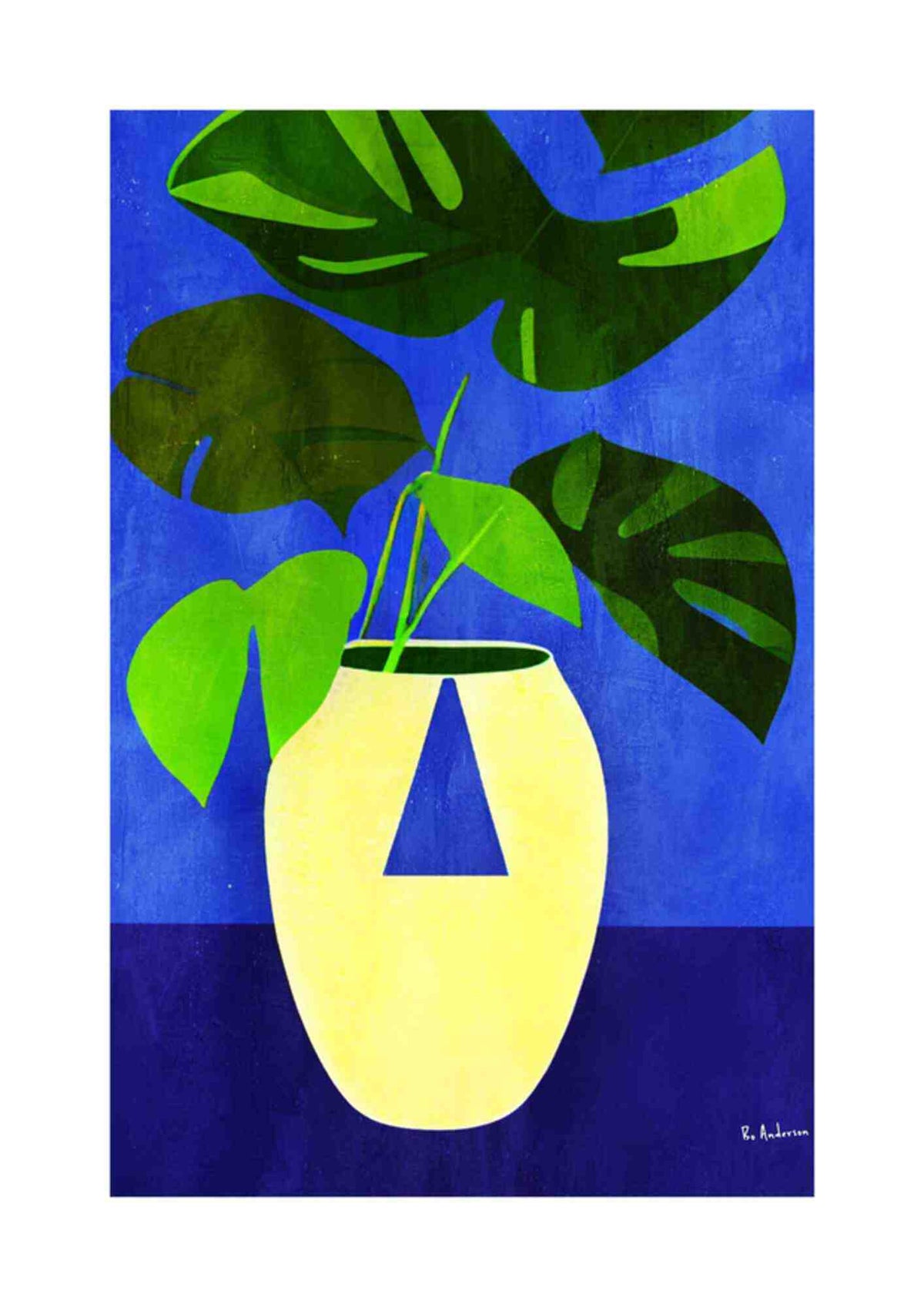 Monstera i vase
