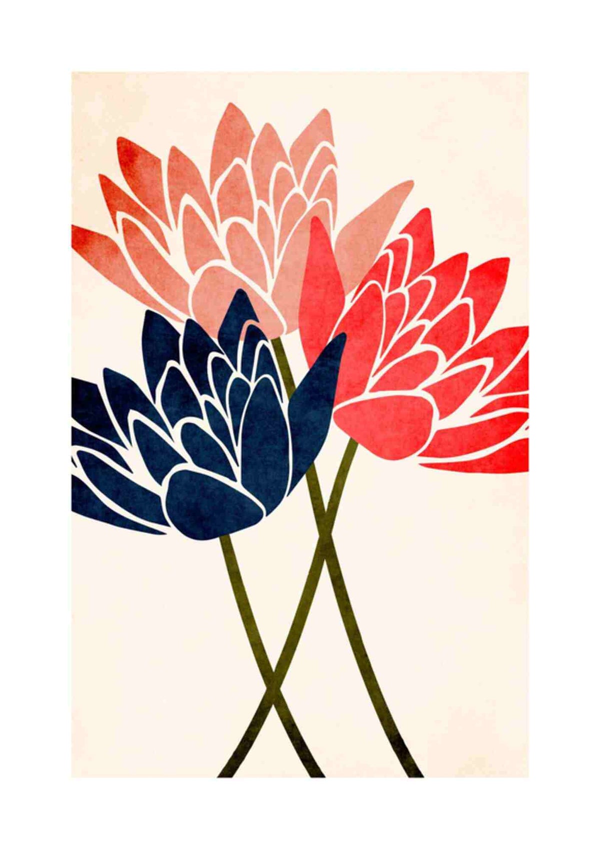 Lotusblomster