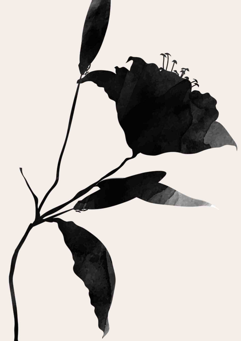 Sort elegance Nero
