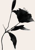 Sort elegance Nero