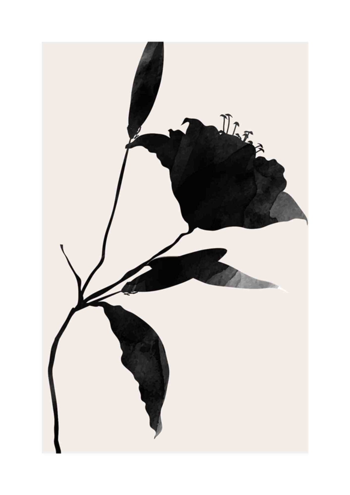 Sort elegance Nero
